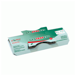 imagine grupa 13.3.59