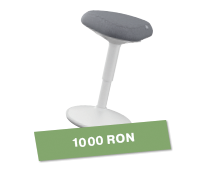 Scaun ergonomic Leitz Ergo